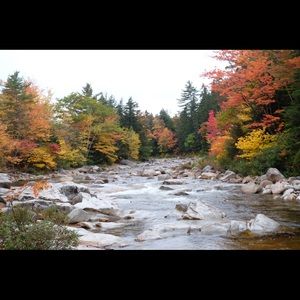 Meet your Posher, Mumi